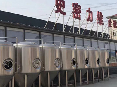 栾川精酿啤酒设备厂—如何判断精酿啤酒设备的密封件需要更换？